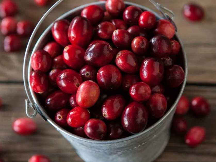 Top 10 Healthy Benefits Of Cranberries